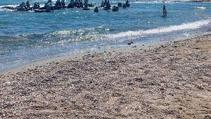 En strand med en flagga, småsten och klart vatten.