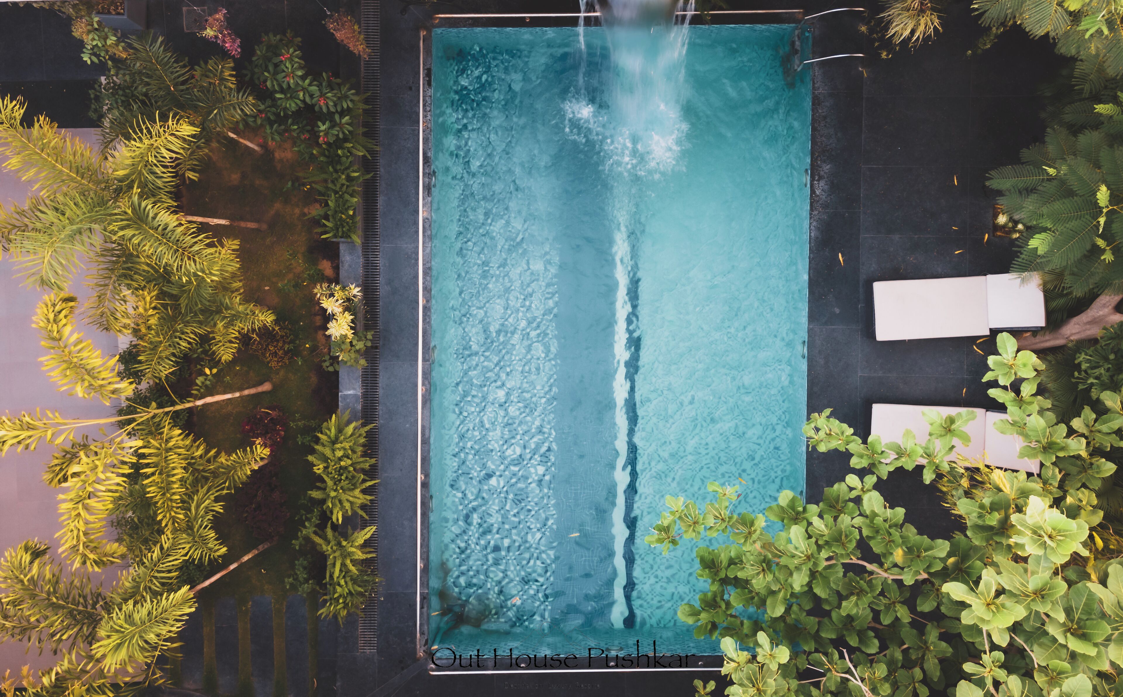 Vista aérea de una piscina rectangular con agua azul cristalina, rodeada de exuberante vegetación y sillas reclinables blancas.