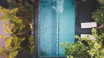Vista aérea de una piscina rectangular con agua azul cristalina, rodeada de exuberante vegetación y sillas reclinables blancas.