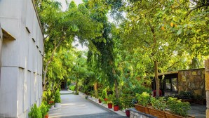 A pathway lined with potted plants and a stone wall on one side. - The Out House Pushkar (Pushkar)