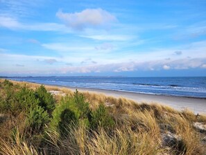 En strand med sand, græs og havet.