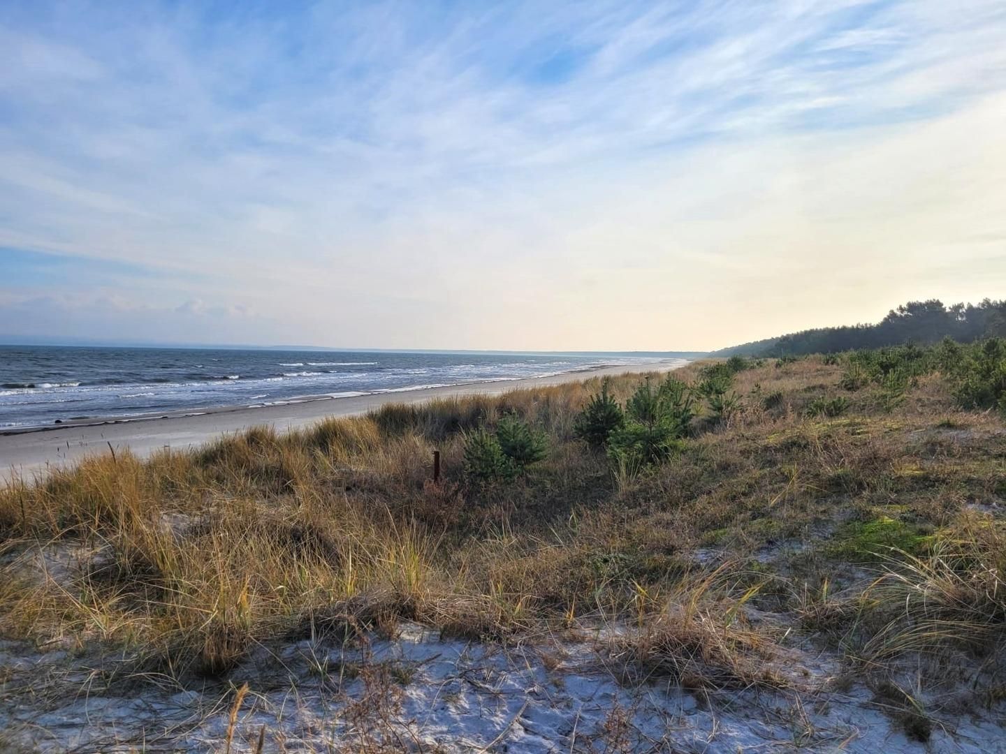 A beach with sand dunes and sparse vegetation.