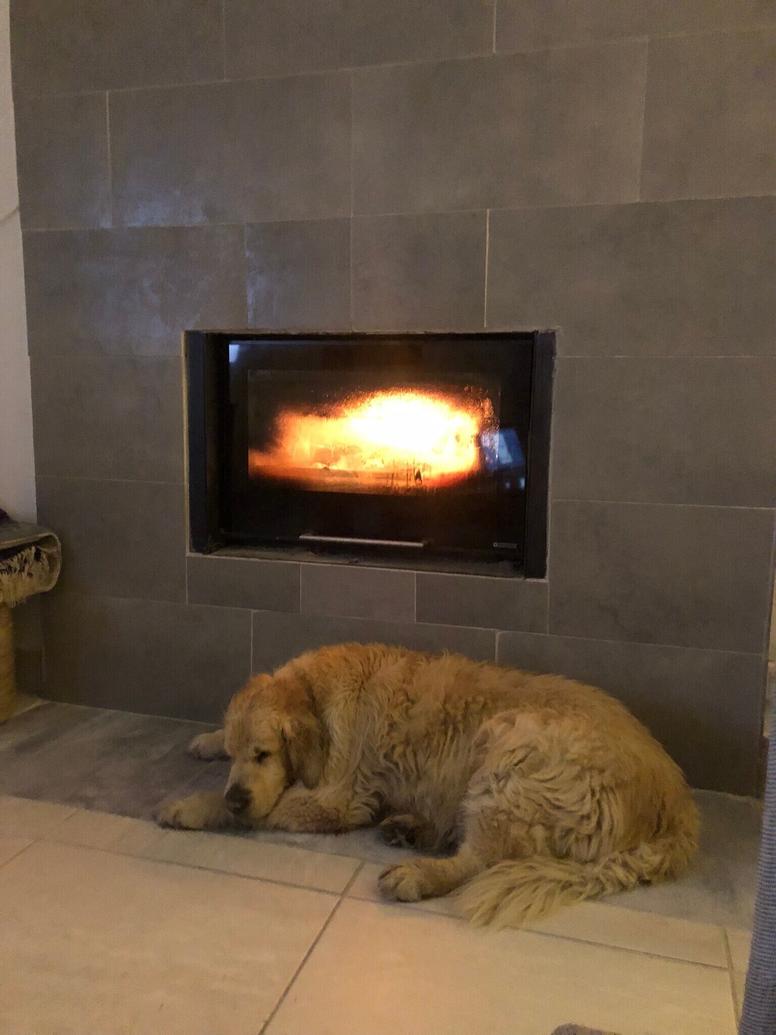 A dog lying on the floor in front of a fireplace with a television screen displaying a fire.