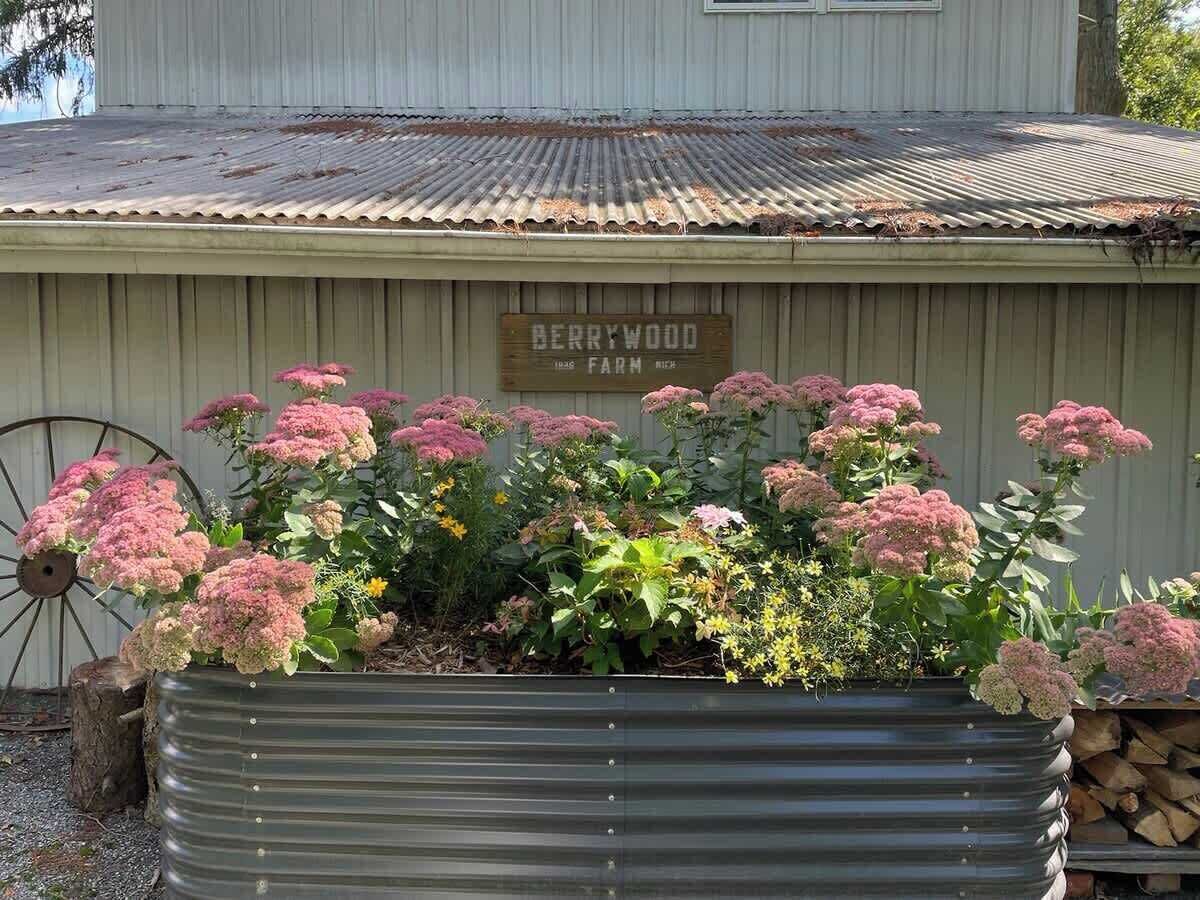 Overnatningsstedets område