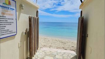 Apartment, 3 Bedrooms, Accessible, Smoking | Beach