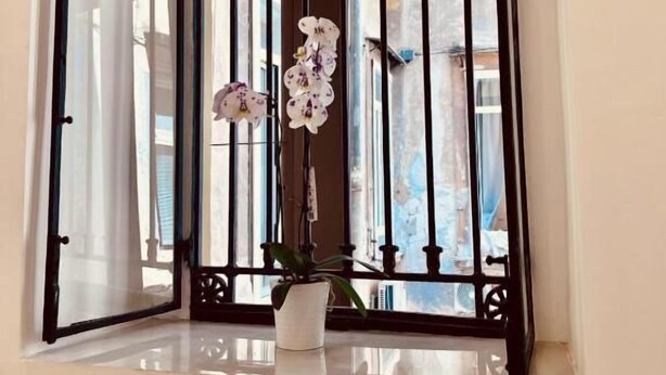 A window with a white door and a potted orchid. - Gentile Suite Decumani (Naples)