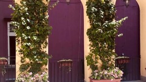 A courtyard with a purple wall, arched doorways, and climbing plants in planters. - Gentile Suite Decumani (Naples)