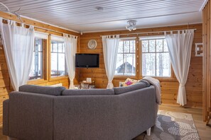 Smart TV, fireplace, video games, books