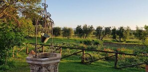 Exterior - Appartamento Girasole (San Vincenzo)