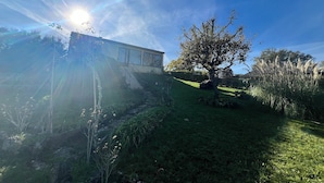 Un bâtiment doté d’une grande fenêtre, d’un arbre et d’un espace verdoyant.