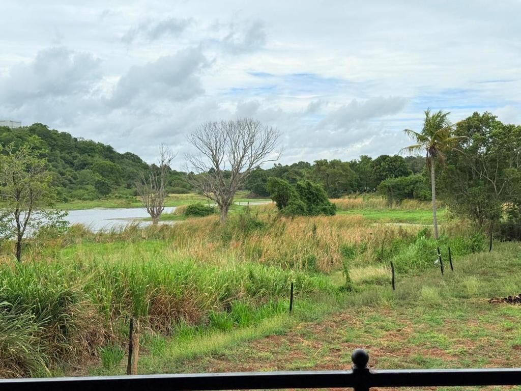 A natural landscape with a body of water, trees, and grassy areas.