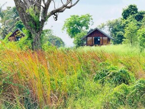 إطلالة على البحيرة