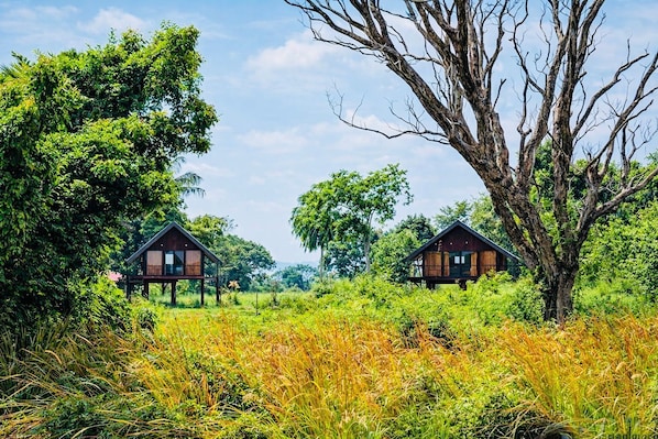 Exterior - Kolla Watersong Eco Cabana resort (Sigiriya)
