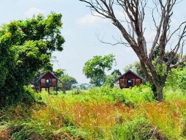 Aerial view - Kolla Watersong Eco Cabana resort (Sigiriya)