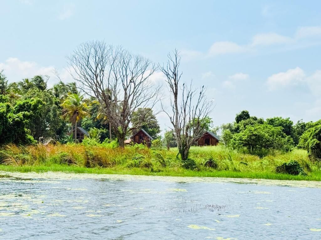 Vista a la orilla del río con casas y abundante vegetación.