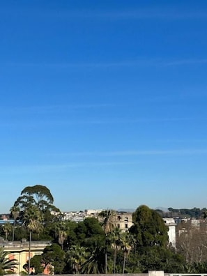 Comfort Double or Twin Room, 1 Double Bed, City View | Terrace/patio - Napolitudine (Naples)