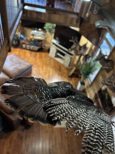 Wonderful 1-bedroom Cozy Rustic Cabin