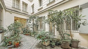 Sisäpiha, jossa on ruukuissa olevia kasveja ja laatoitettu lattia.