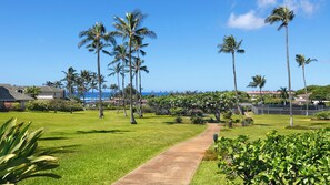 Property grounds - Regency at Poipu Kai 123 By Parrish Kauai - Short walk to Beach (Koloa)