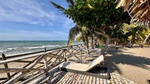 Una terraza de madera con un banco y una palmera.