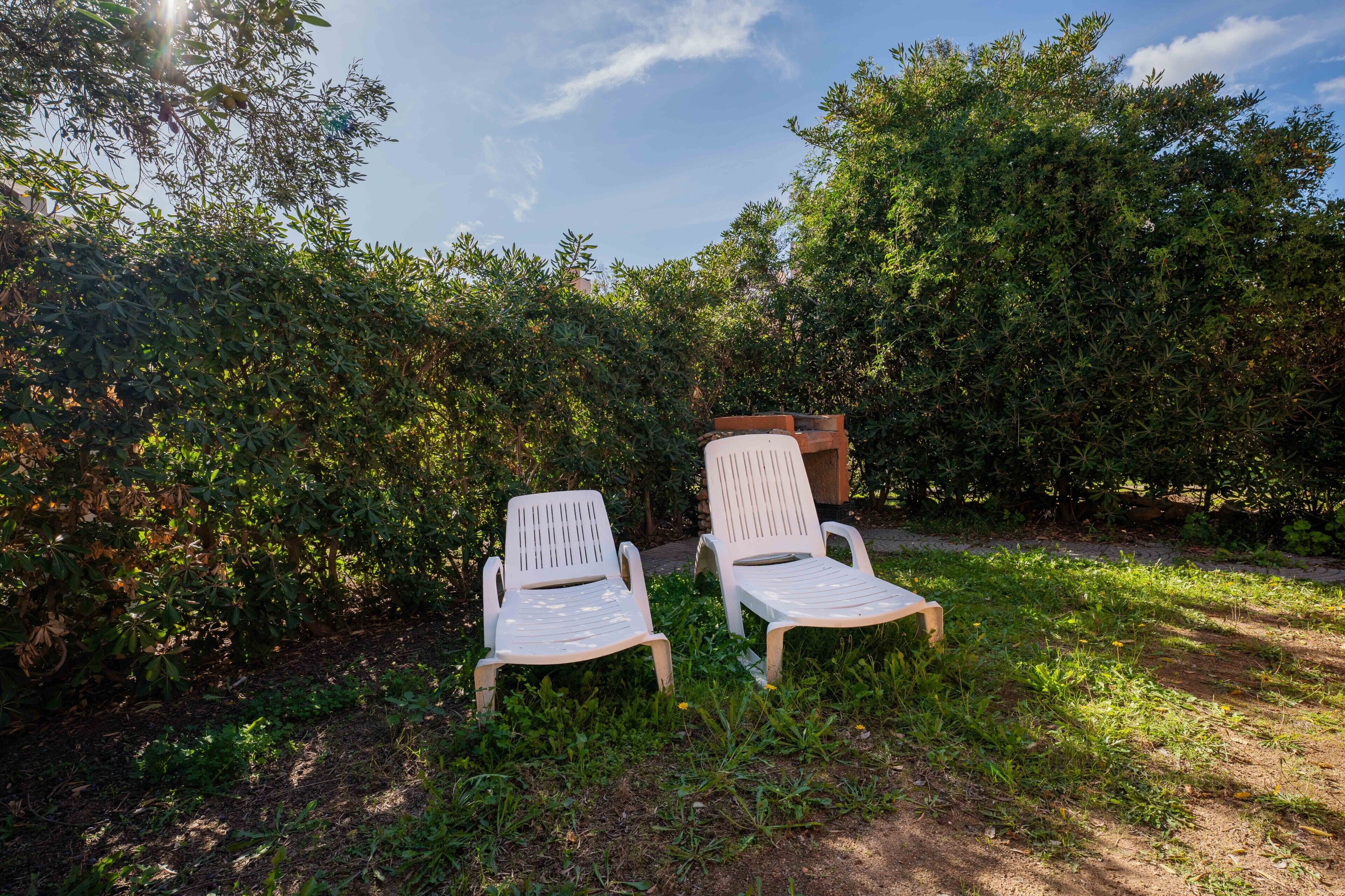 Due poltrone bianche in un giardino rigoglioso, con fitta vegetazione e cielo sereno.