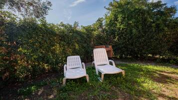 Due poltrone bianche in un giardino rigoglioso, con fitta vegetazione e cielo sereno.
