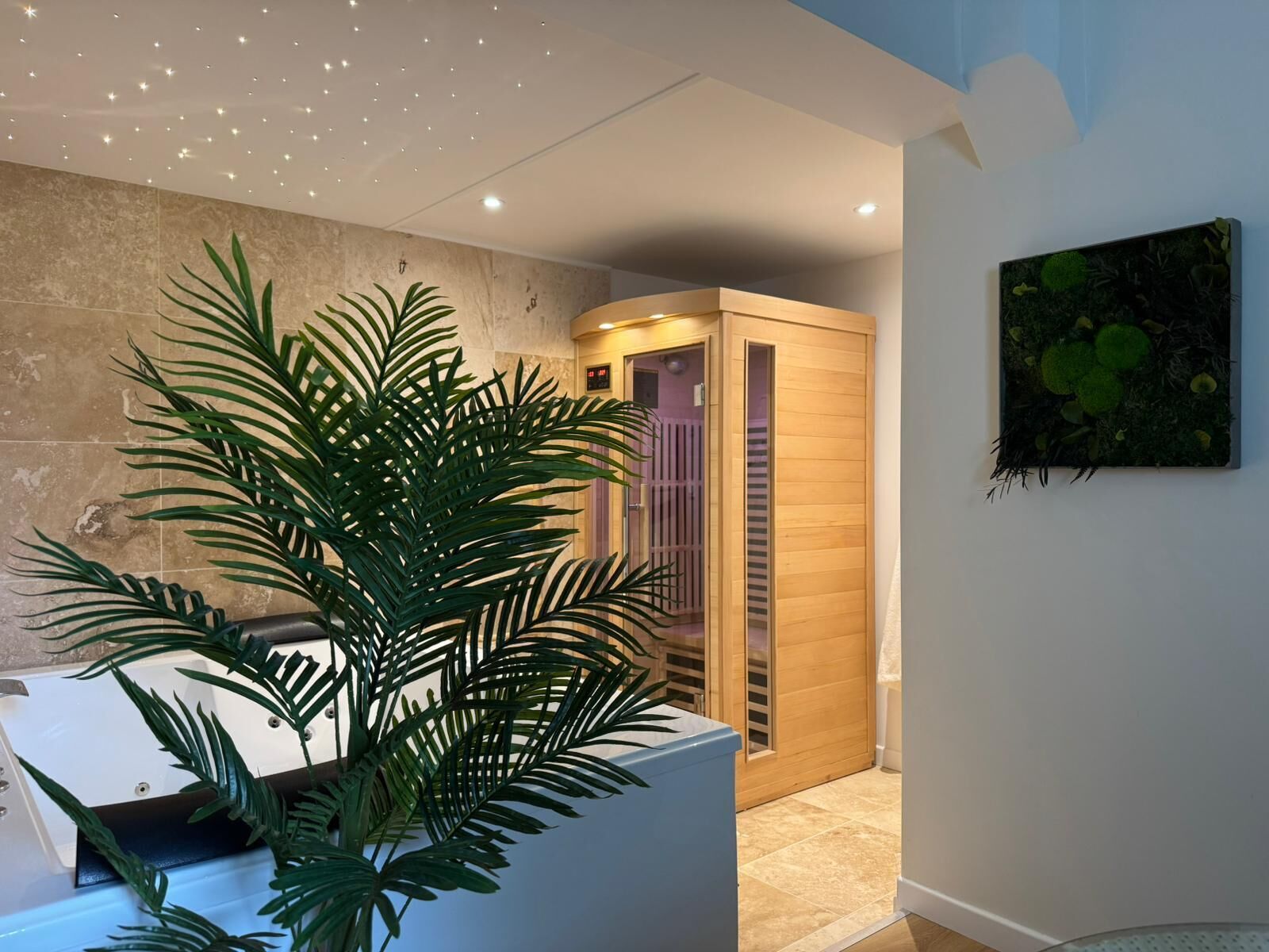 Une salle de spa agrémentée d’une grande plante, d’un sauna en bois et d’une œuvre d’art fixée au mur.