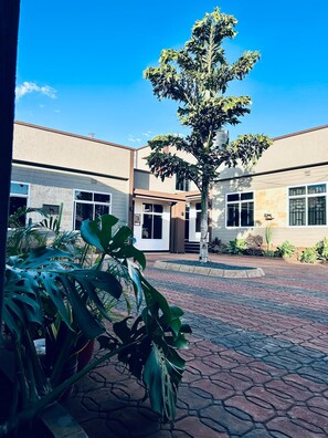 A courtyard with a paved walkway, a building with a modern design, and a tree in the center. - CJ VILLA (Karatu)