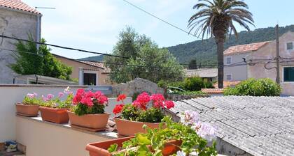 Kobale House / Kobale 3