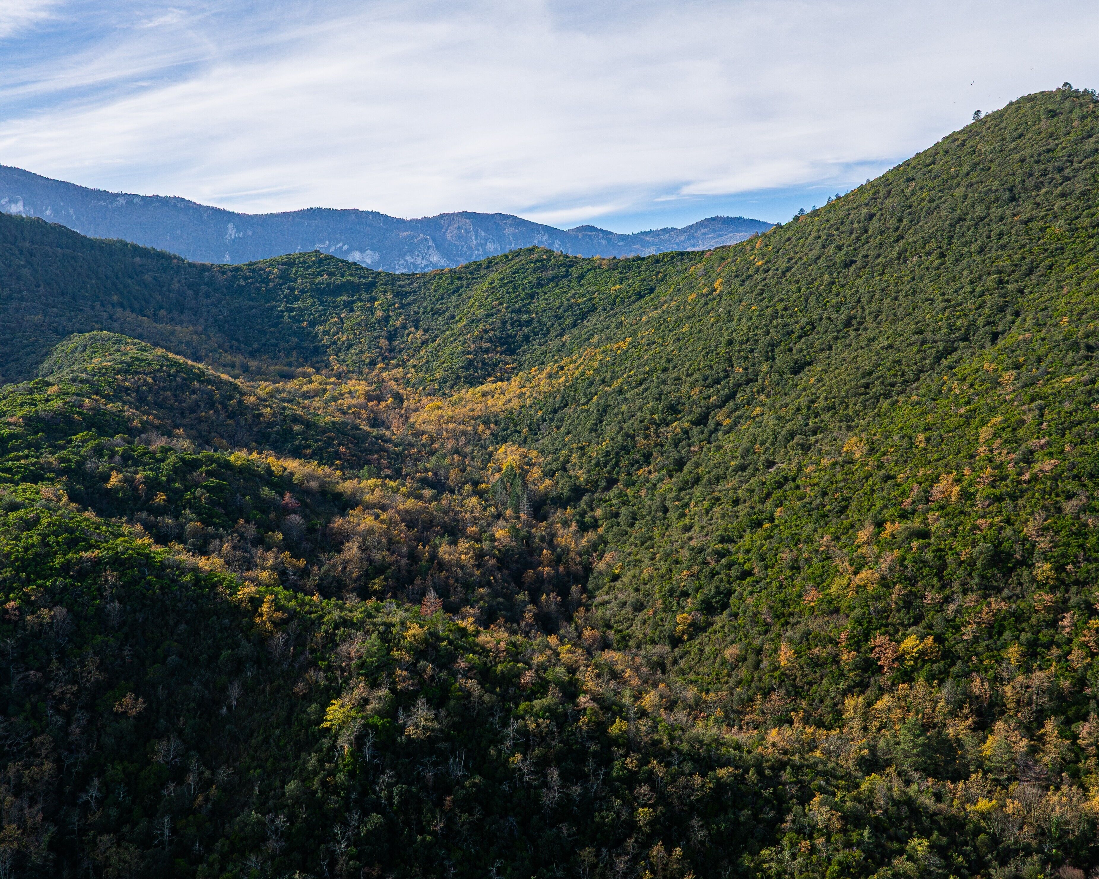 A mountainous landscape with dense forest.