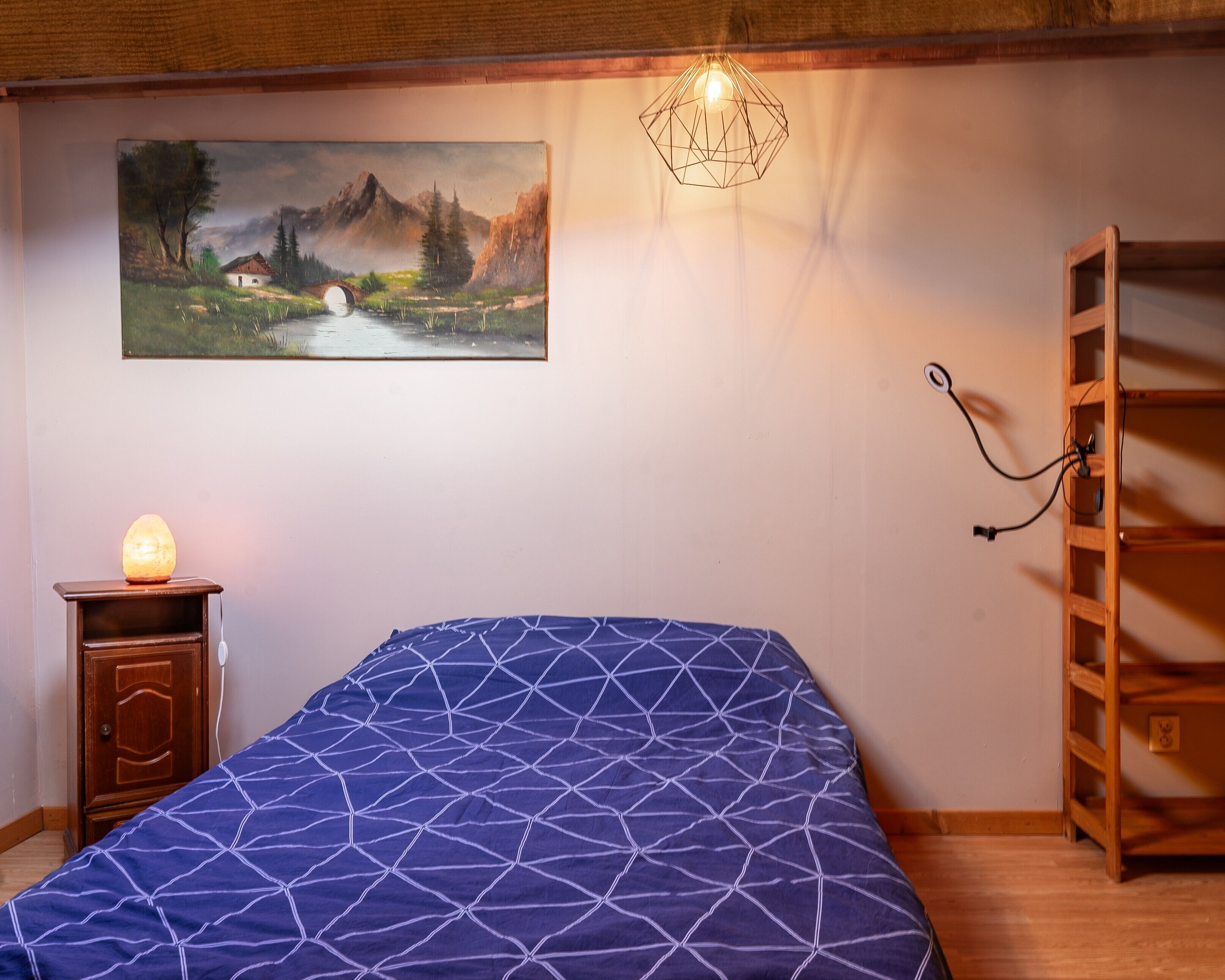 Una camera da letto con un letto, un quadro, un termosifone, una scala e una presa di corrente.