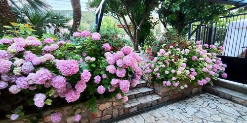Orange house in Veli Losinj