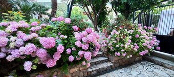 Orange house in Veli Losinj