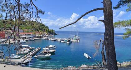 Antunovic / Antunovic 4