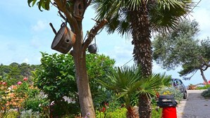 Un jardin avec un palmier, une nichoir et une poubelle rouge.