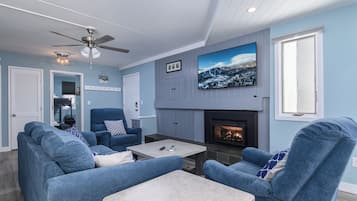 Smart TV, fireplace, books