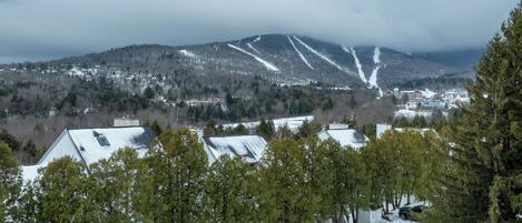A snowy landscape with a mountain in the background, a parking area with cars, and trees in the foreground.