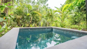 Ein rechteckiger Pool mit einer gefliesten Kante, umgeben von üppiger tropischer Vegetation.