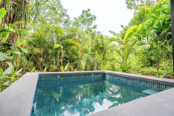 Outdoor pool - Raya Bungalow (Puerto Viejo de Talamanca)