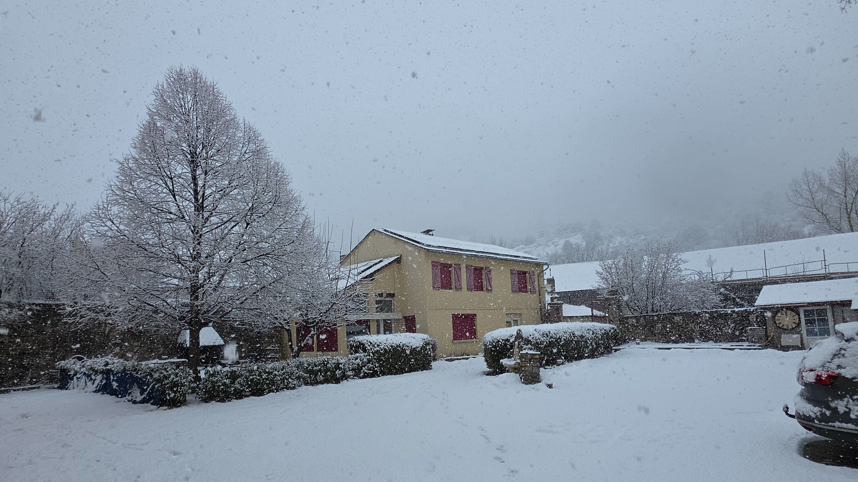 Un quartier résidentiel avec une maison, des arbres couverts de neige et une voiture.