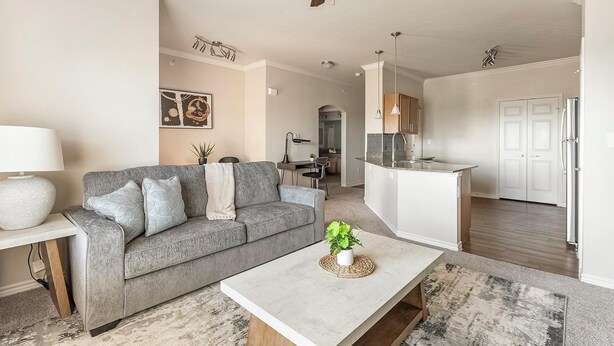 Ein modernes Wohnzimmer mit grauem Sofa, einem Couchtisch und einer Küchenzeile mit weißen Schränken und einer Spüle.