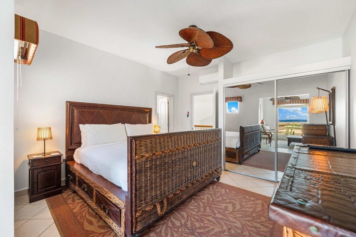 A hotel room with a large bed, a ceiling fan, a television, and a view of the outdoors.
