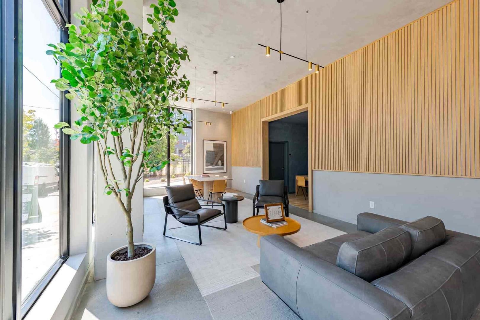 A modern interior with a sofa, chairs, a coffee table, and a potted plant.