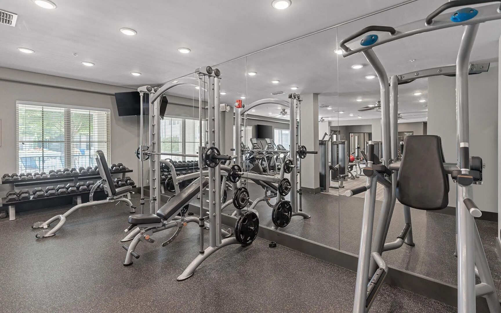 Ett gym med olika typer av träningsredskap, en bänk och hantlar.
