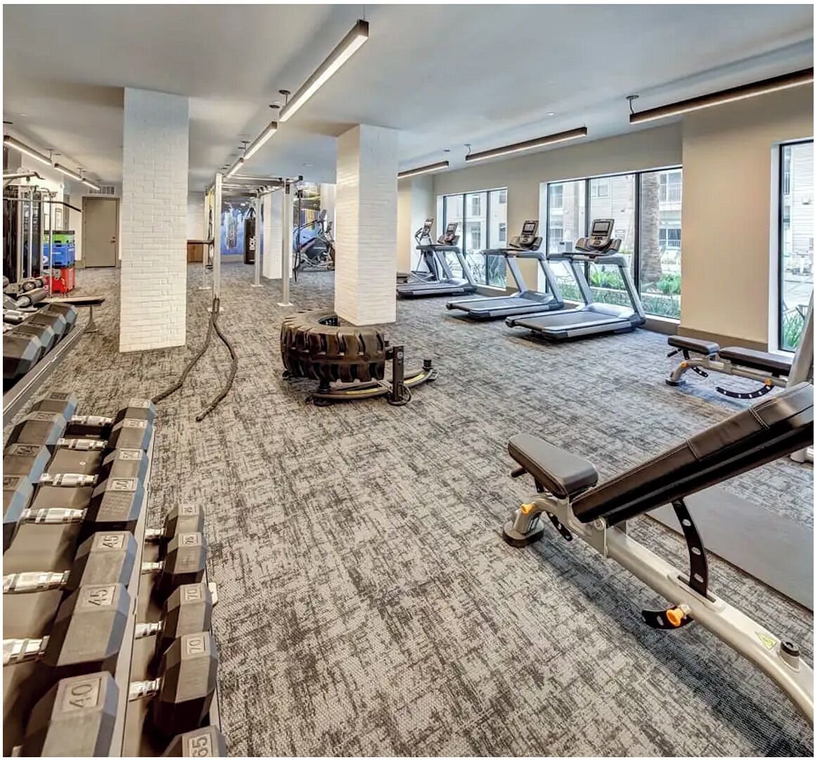 A gym with treadmills, weight benches, and free weights.