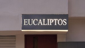 Front of property - Casa Eucaliptos (Oaxaca)