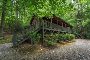 Exterior - Cozy 1-bedroom cabin in perfect Black Mountain with Hot Tub (Black Mountain)