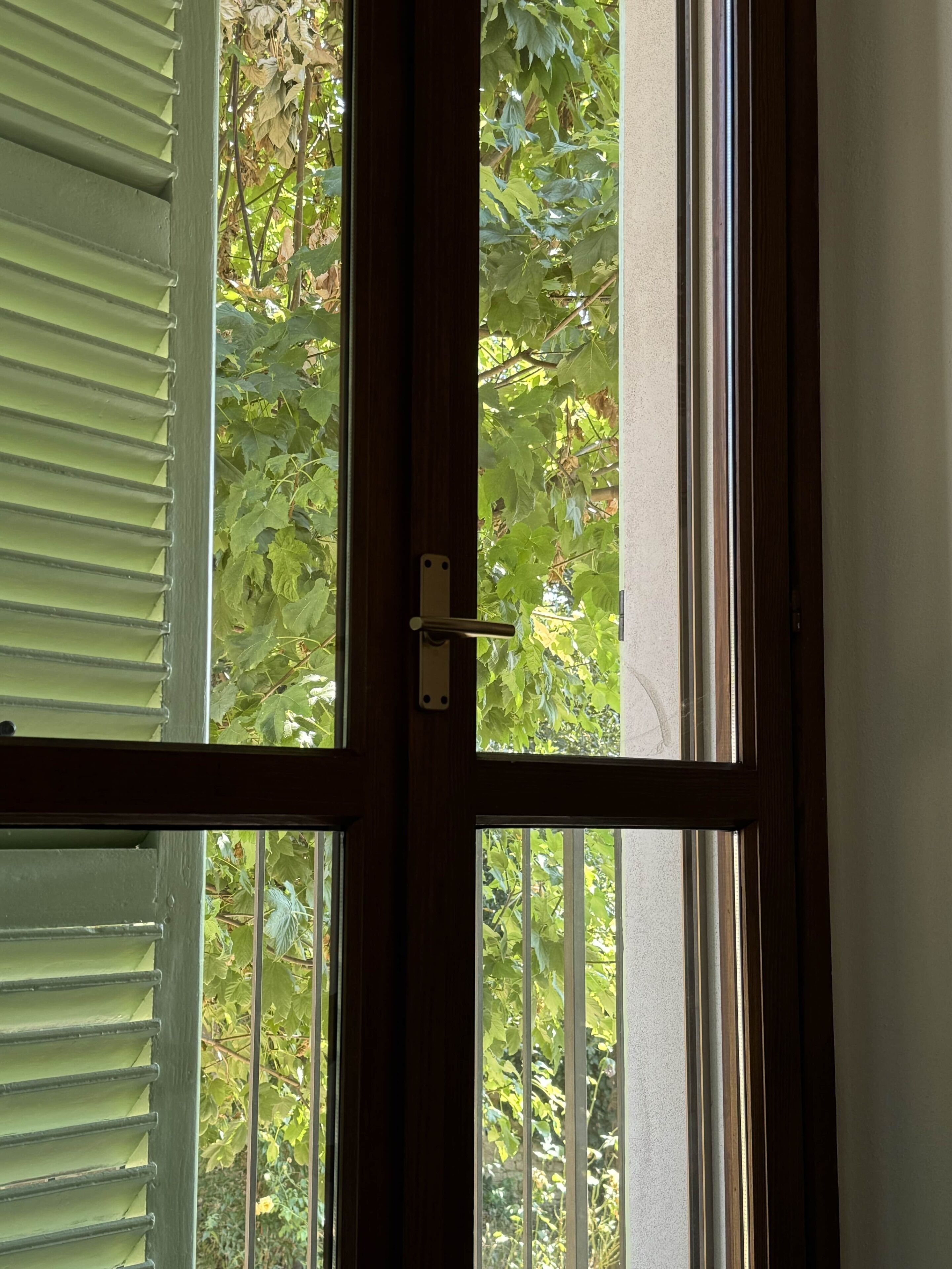 A wooden door with a latch, partially open, revealing a view of green foliage outside.