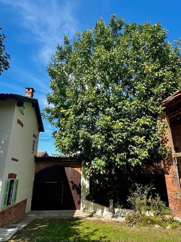 Un barrio residencial con un árbol grande en el centro, un edificio blanco a la izquierda y un edificio de ladrillo a la derecha.