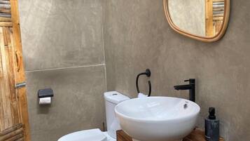 Shower, towels, soap, toilet paper